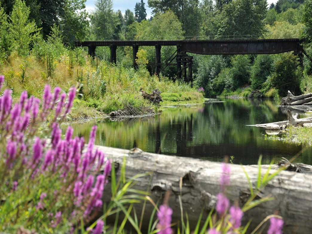 Scenic Cycling Trails in Washington State