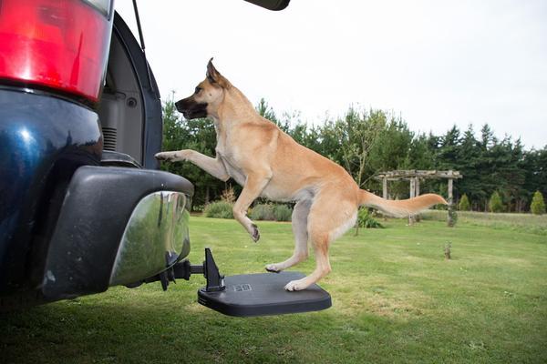 Twistep Pet Step for SUV's FREE Hitch lock