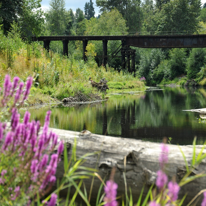 Scenic Cycling Trails in Washington State