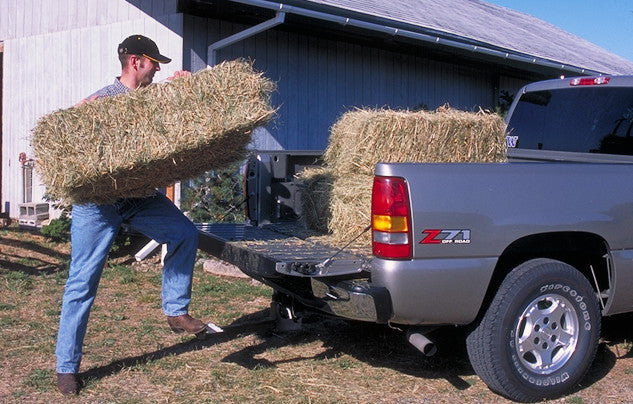 HitchMate TruckStep for 2" Receiver