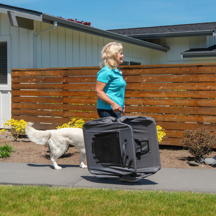 Soft Sided Portable Dog Crate